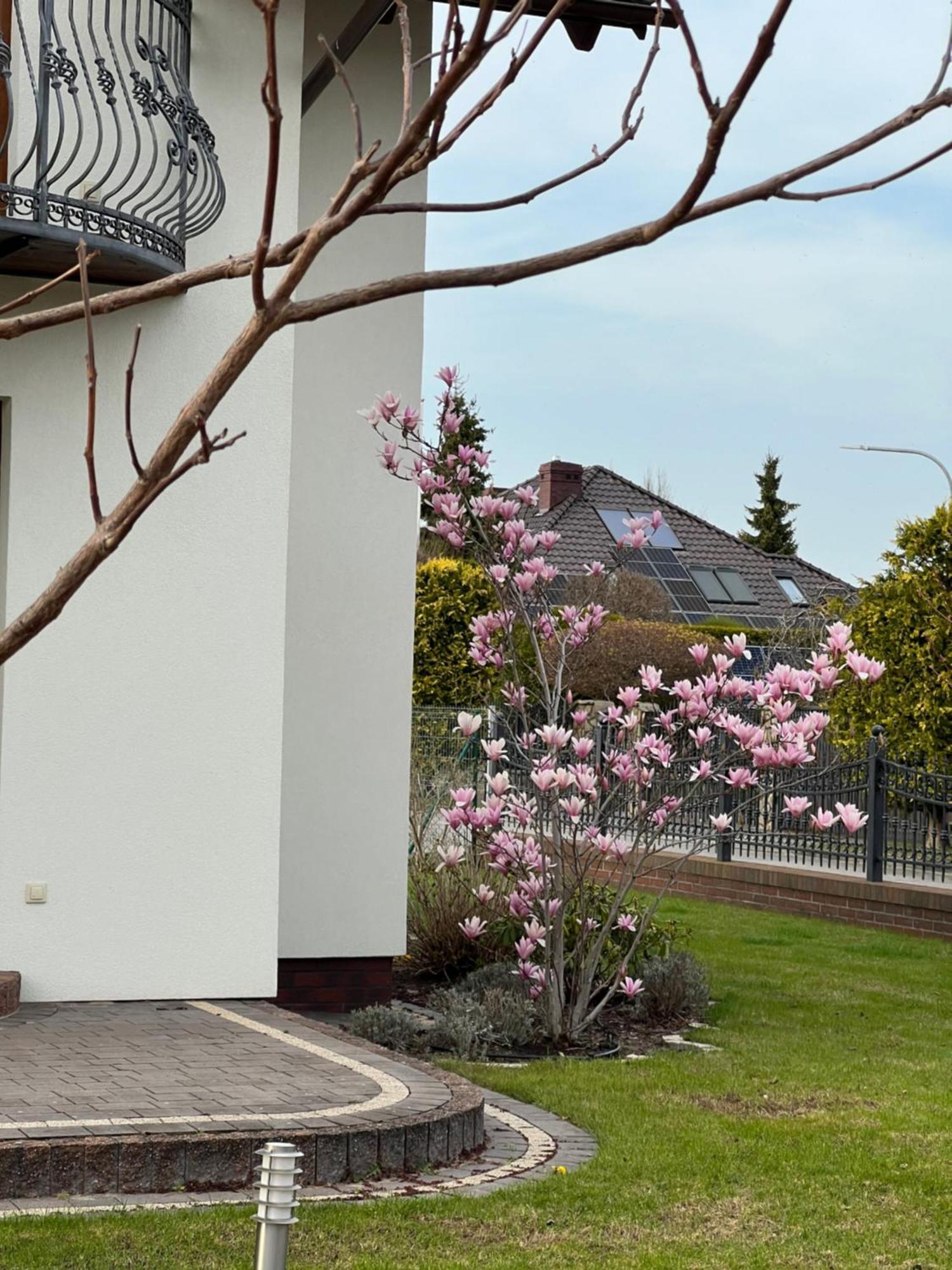 Apartamenty Bursztynowe 데브키 외부 사진